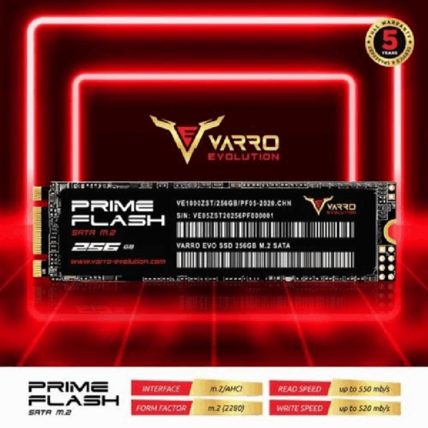 VARRO 256GB M2