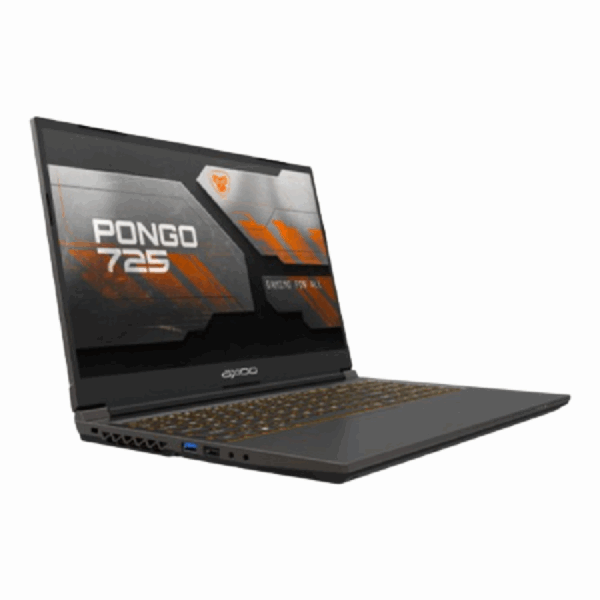 AXIOO PONGO 725 (I7-12650H/RTX2050 4GB/16GGB 12GB/DOS/ 15.6FHD 144HZ IPS RGB)