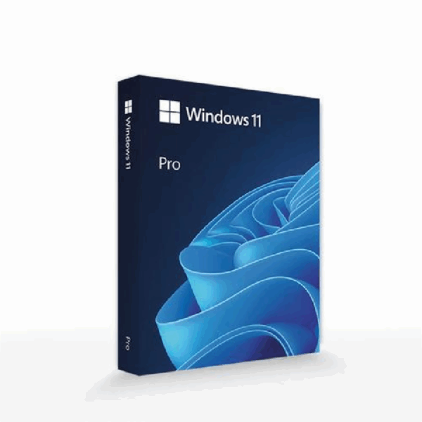 WINDOWS 11 PRO C